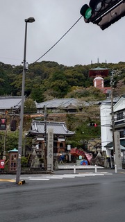 20250413_132731713.JPG