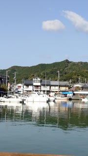 20250414_081820104.JPG