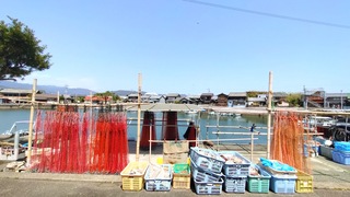 20250414_122828330.JPG
