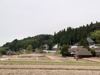 DSC_2769.JPG
