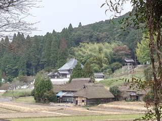 DSC_2775.JPG
