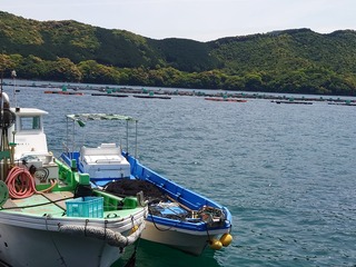 DSC_6197.JPG