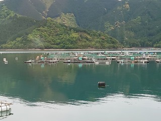 DSC_6315.JPG