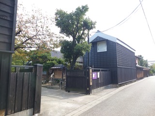 DSC_6928.JPG
