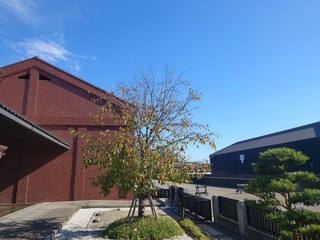 DSC_6932.JPG