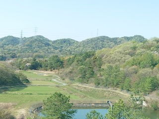 DSC_8660.JPG