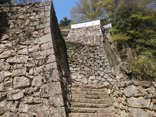 DSC_8673.JPG