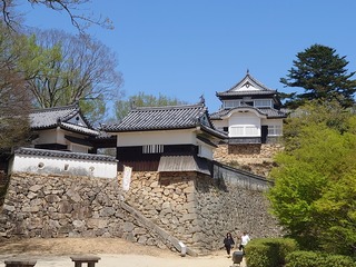 DSC_8678.JPG