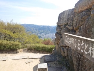 DSC_8704.JPG