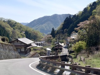 DSC_8714.JPG