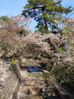 DSC_8729.JPG